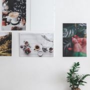 canvas-platno