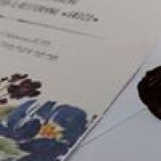 53808786_1555842914546279_5944782809850707968_n
